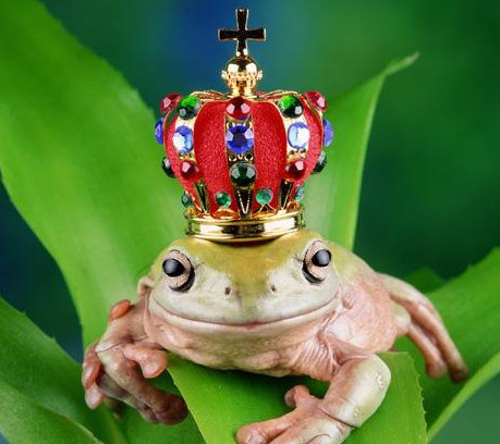 sapo_principe_bigger